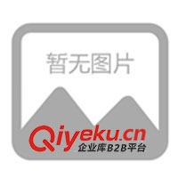 供應塑料支具圍領 廠家直銷醫(yī)用外固定支具 代理批發(fā)